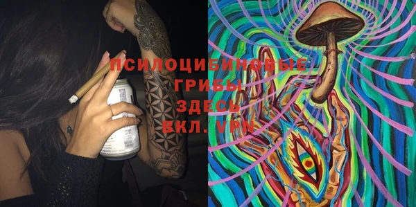 хмурый Балабаново
