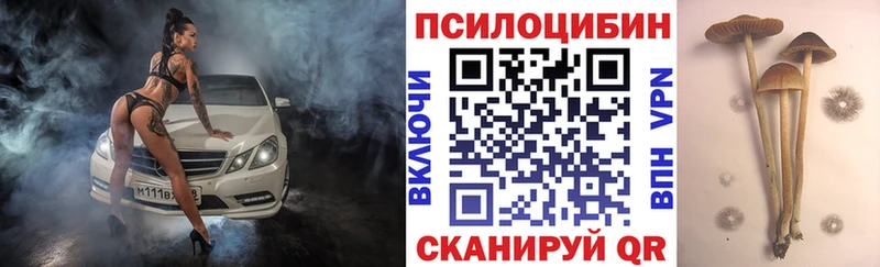 Галлюциногенные грибы мухоморы наркошоп Красный Сулин
